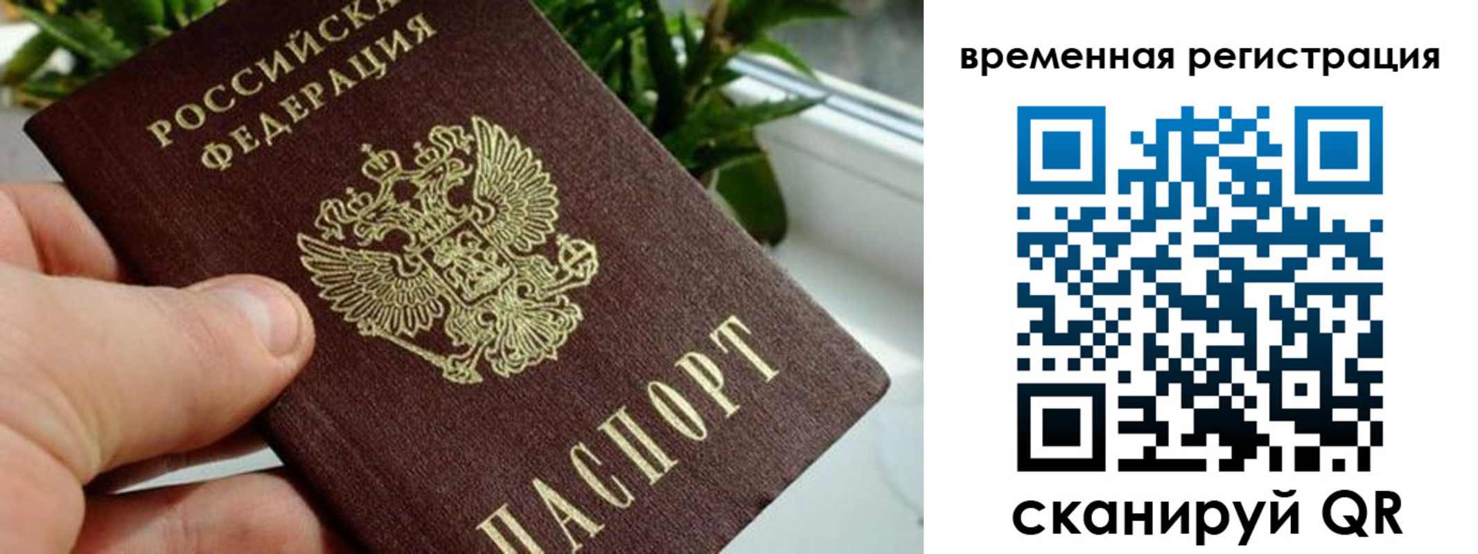 прописка поиск в Камне-на-Оби